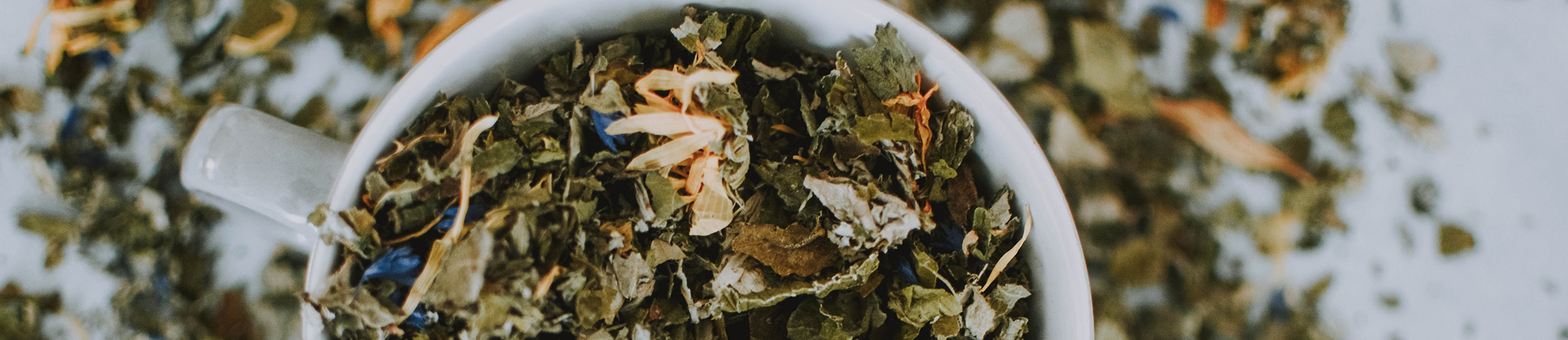 Shop Tee Galerie Illertissen